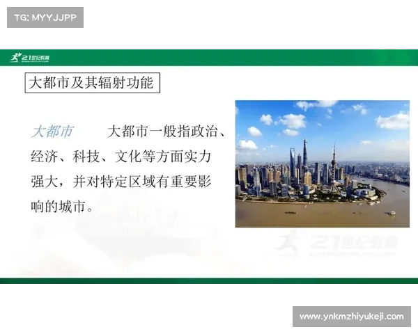 辐射的中文化探索:从外来词到中心词 辐射的中文化探索:从外来词到中心词