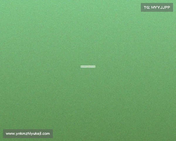 森优教育集团合作院校